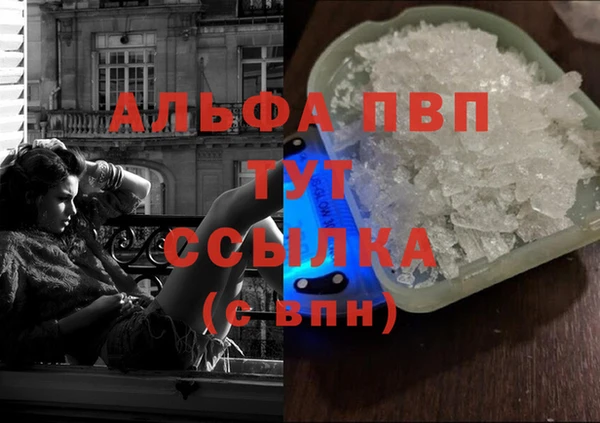 гашик Аркадак